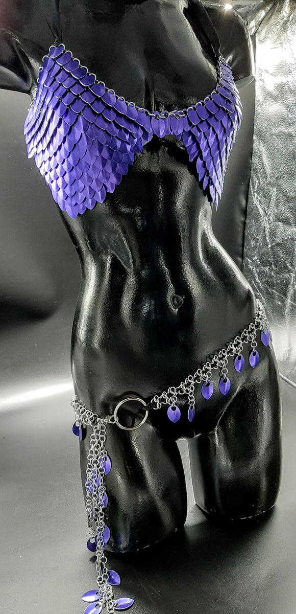 PURPLE SCALEMAIL SET